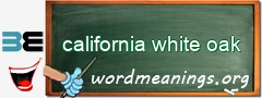 WordMeaning blackboard for california white oak